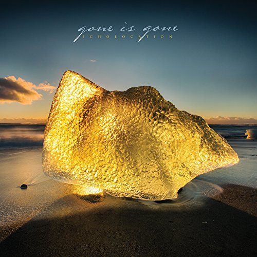 Echolocation by Gone Is Gone Album Cover