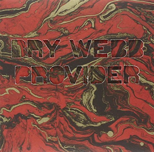 Provider by Bry Webb
