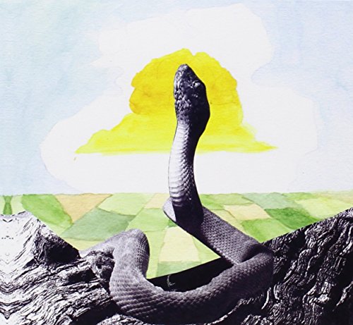Bend Beyond by Woods
