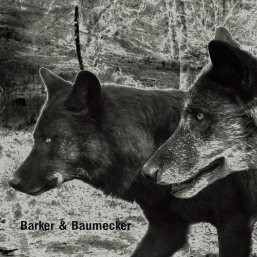 Transsektoral by Barker & Baumecker