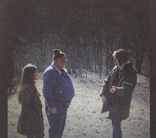 Swing Lo Magellan by Dirty Projectors Album Cover