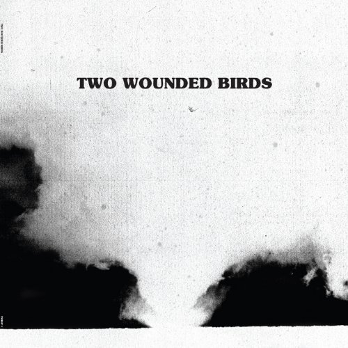 Two Wounded Birds by Two Wounded Birds Album Cover