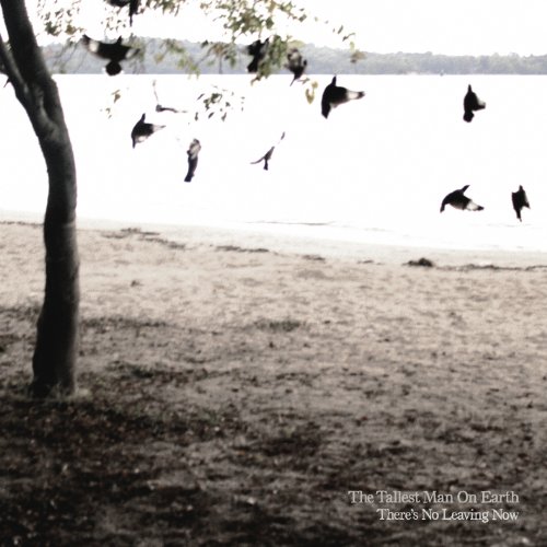 There's No Leaving Now by The Tallest Man on Earth