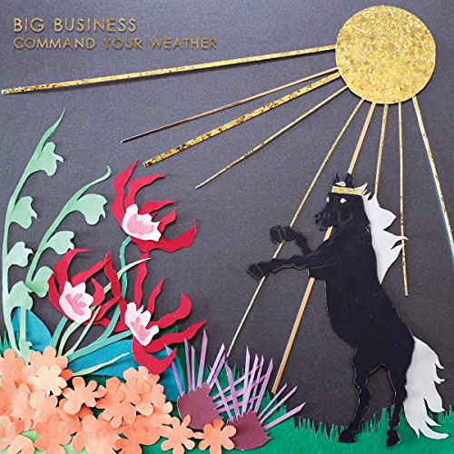Command Your Weather by Big Business