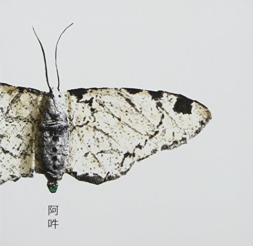 AUN: The Beginning and the End of All Things [OST] by Christian Fennesz Album Cover