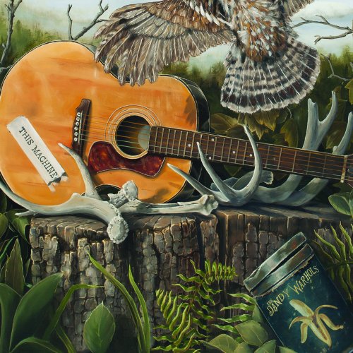 This Machine by The Dandy Warhols