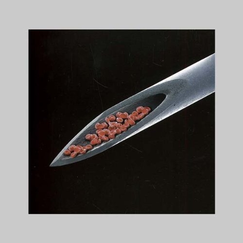 Live Blood by Peter Gabriel