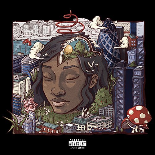 Stillness In Wonderland by Little Simz