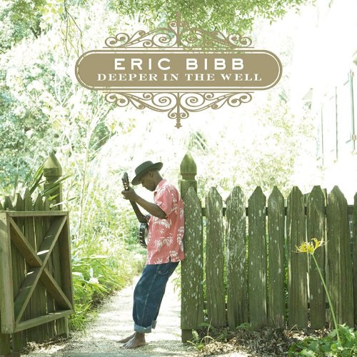 Deeper in the Well by Eric Bibb