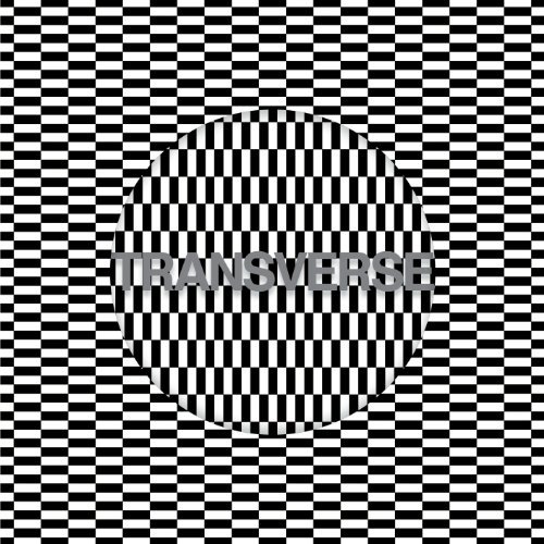 Transverse by Carter Tutti Void