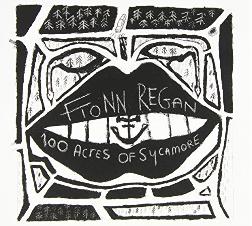 100 Acres of Sycamore by Fionn Regan