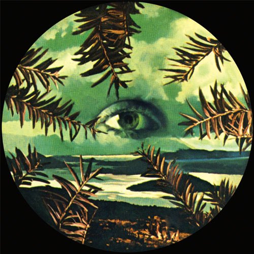 Lilacs & Champagne by Lilacs & Champagne Album Cover