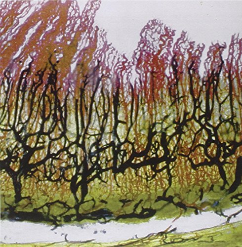 Rhyton by Rhyton Album Cover