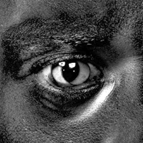 Evolve or Be Extinct by Wiley
