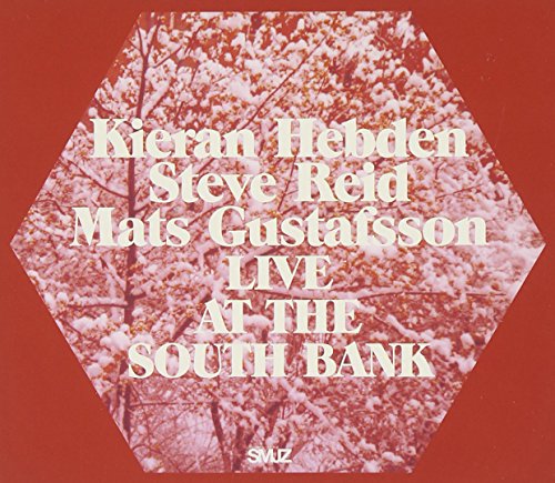 Live at the South Bank by Kieran Hebden