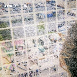 Staring at the X by Forest Fire