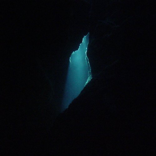 Wander/Wonder by Balam Acab