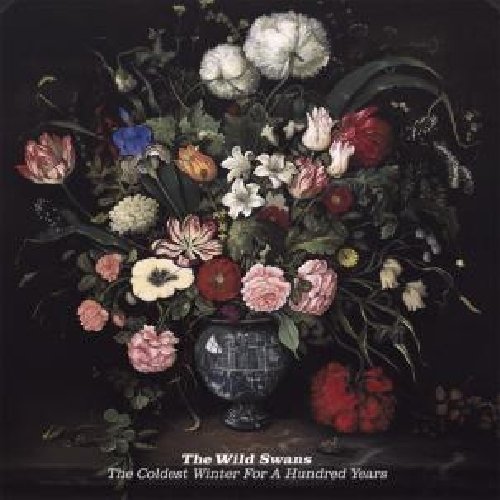The Coldest Winter for a Hundred Years by Wild Swans