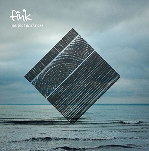 Perfect Darkness by Fink