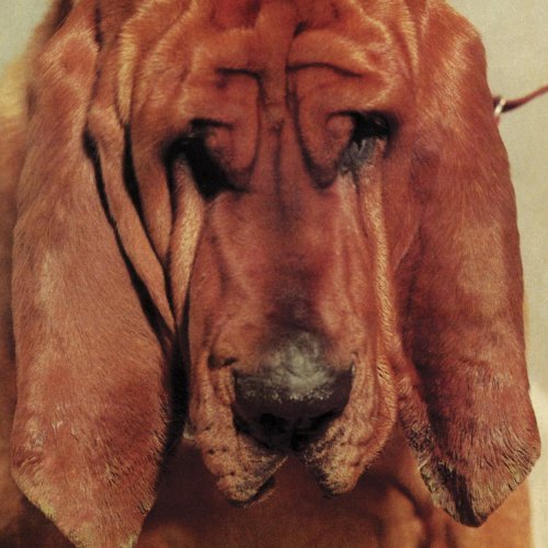 Goodbye Bread by Ty Segall