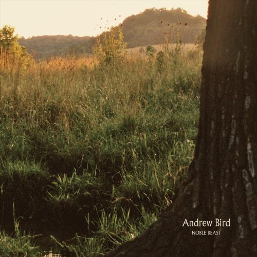 Noble Beast by Andrew Bird