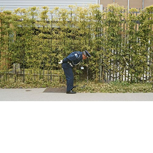 Good Luck and Do Your Best by Gold Panda