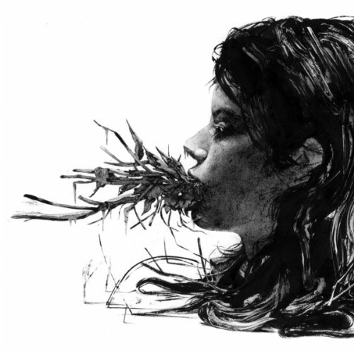 Entanglements by Parenthetical Girls
