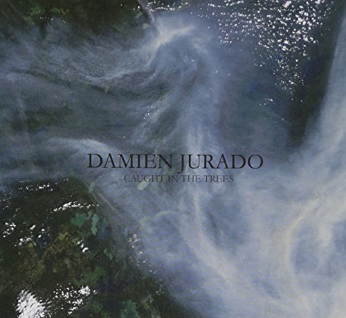Caught In The Trees by Damien Jurado
