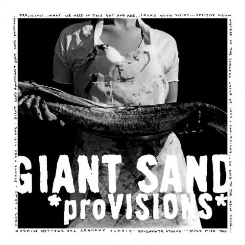 proVISIONS by Giant Sand