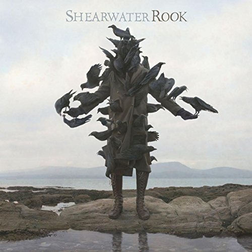Rook by Shearwater
