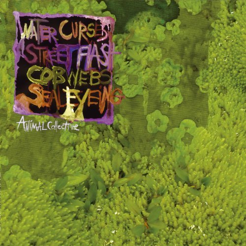 Water Curses [EP] by Animal Collective Album Cover