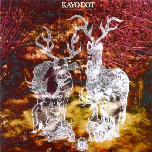 Blue Lambency Downward by Kayo Dot