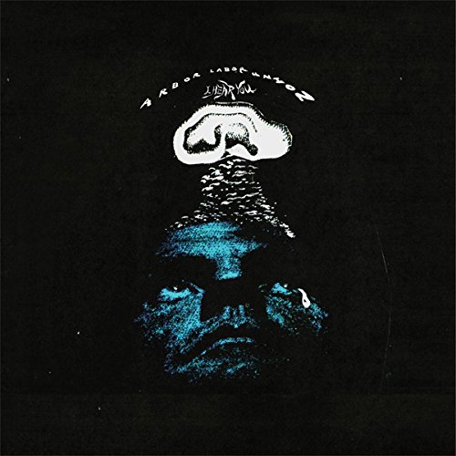 I Hear You by Arbor Labor Union