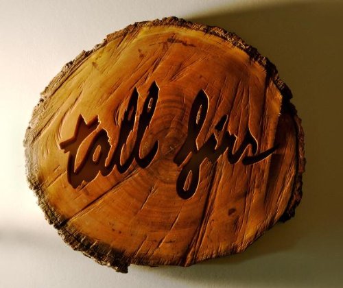 Too Old To Die Young by Tall Firs