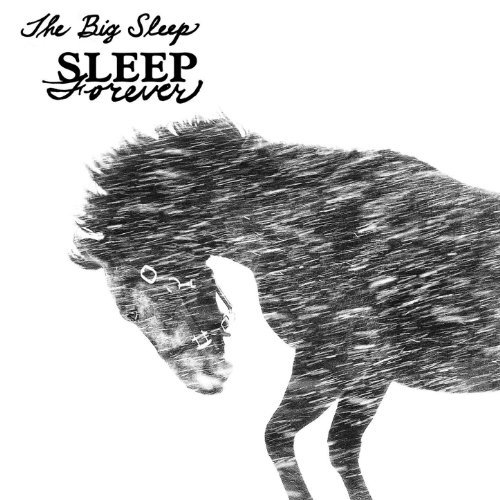 Sleep Forever by The Big Sleep