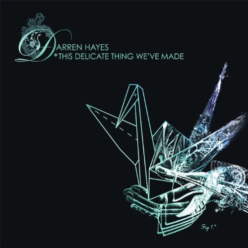 This Delicate Thing We've Made by Darren Hayes