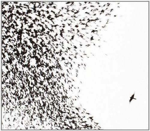 Sky Blue Sky by Wilco