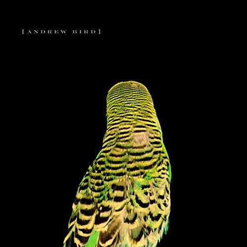 Armchair Apocrypha by Andrew Bird