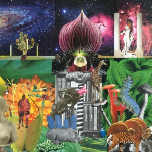 New Magnetic Wonder by The Apples In Stereo