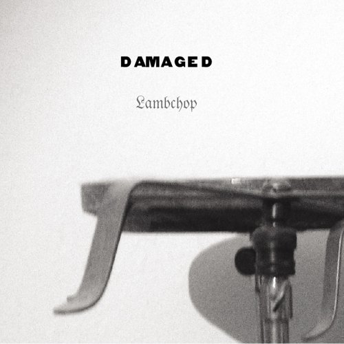 Damaged by Lambchop