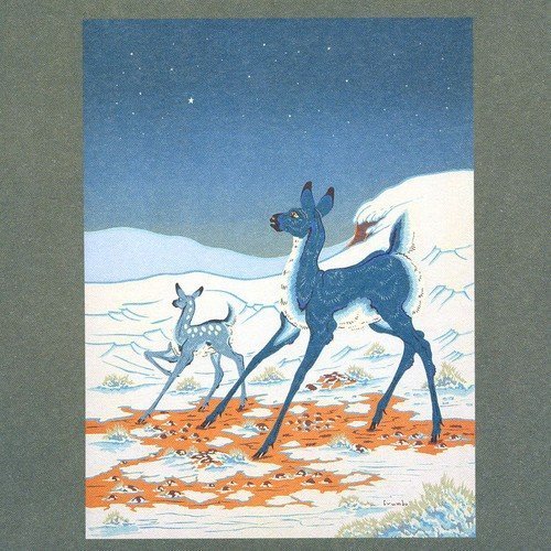 The Brave And The Bold by Tortoise & Bonnie