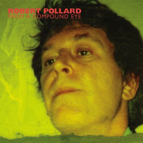 From A Compound Eye by Robert Pollard