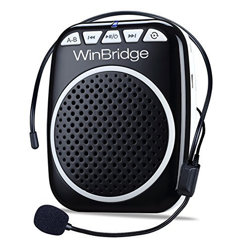 13 Best Portable PA Systems in 2019 [Buying Guide] Music Critic