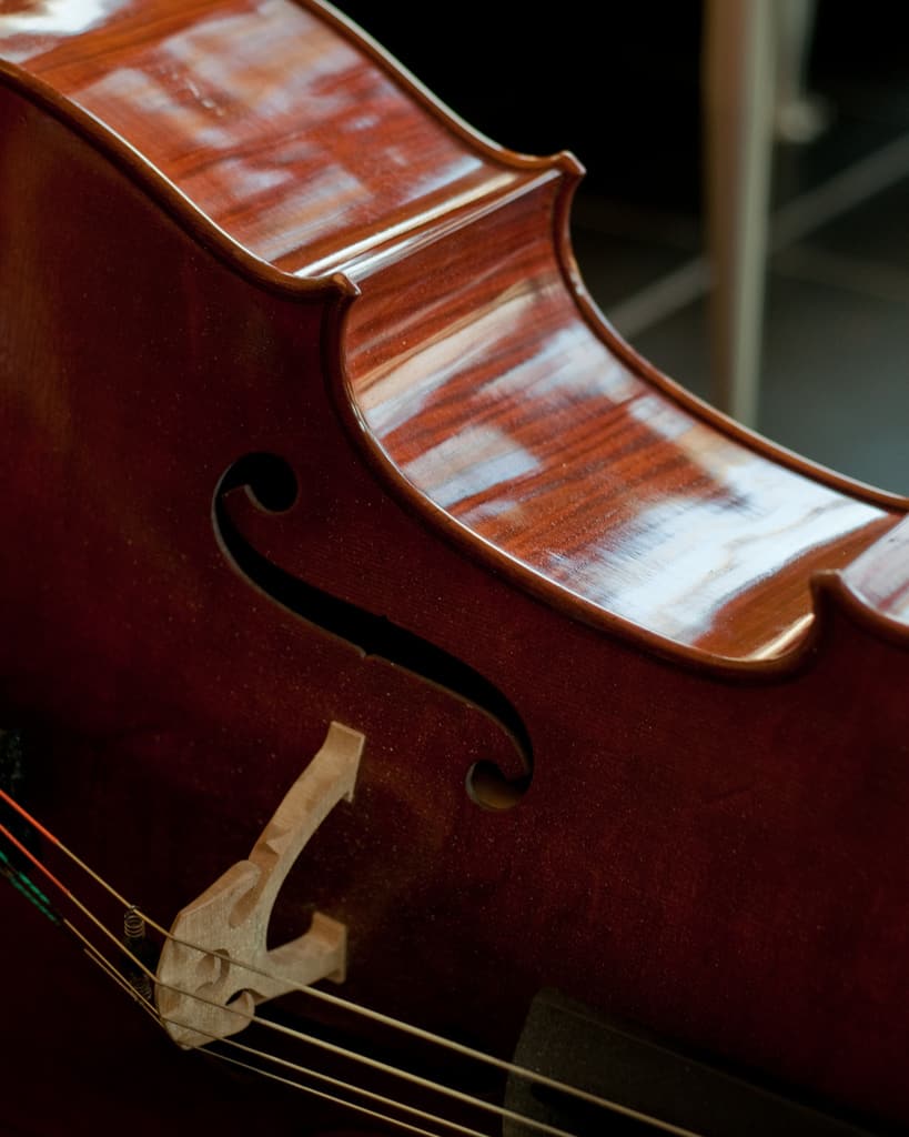violins beginners violin rosin should buying cello