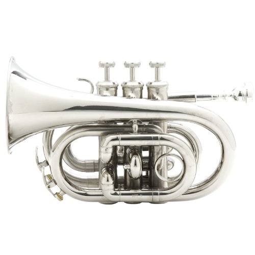 10 Best Trumpet Brands for Beginners, Students & Professionals in 2019