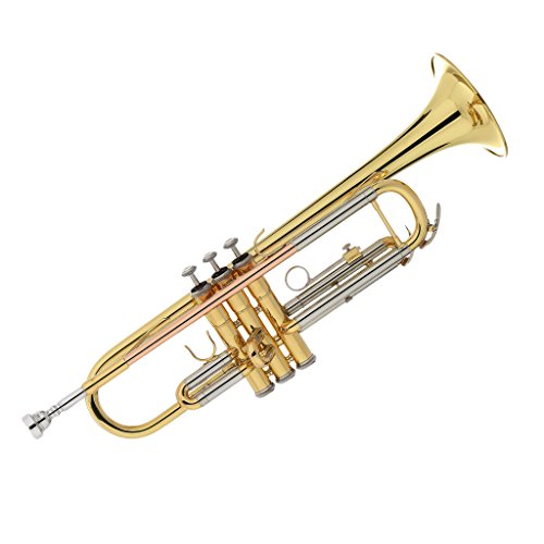10 Best Trumpet Brands for Beginners, Students & Professionals in 2019